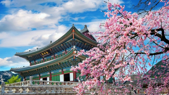 COREA Y JAPON
